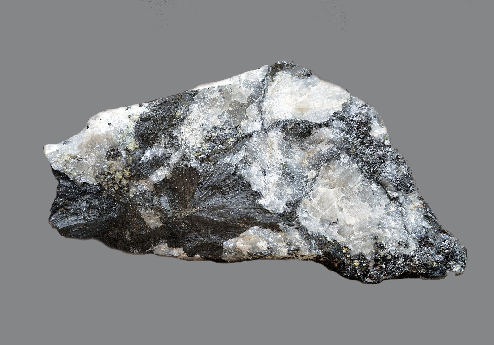 Ludwigita
63x32x16mm
(Autor: Antonio Carmona)