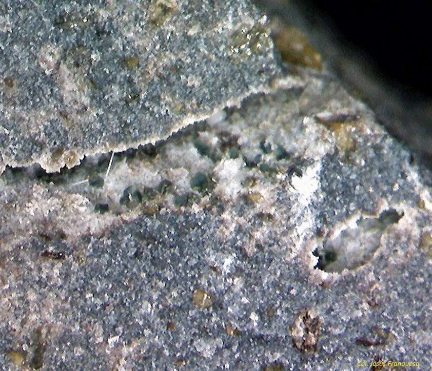 Roedderita.
3´439 x 1´694 mm.
(Autor: Jesus Franquesa Baucells)