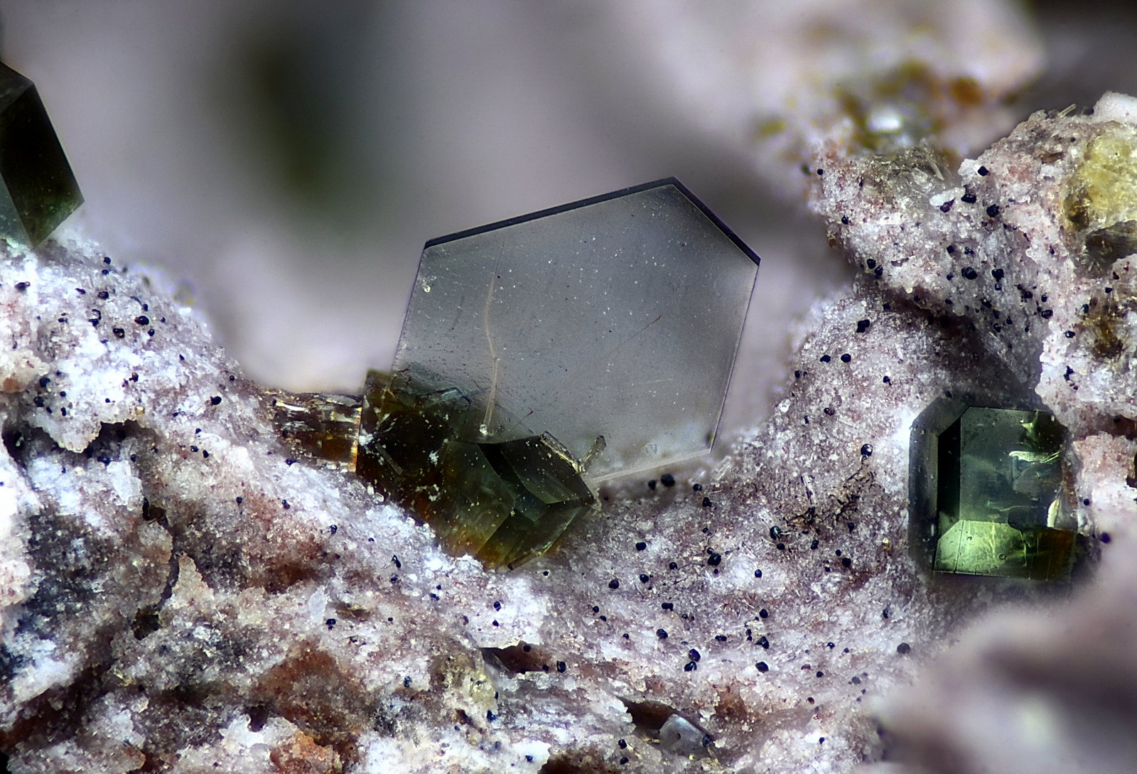 Roedderita
Campo de visión 1,5 mm
(Autor: Juan Miguel)