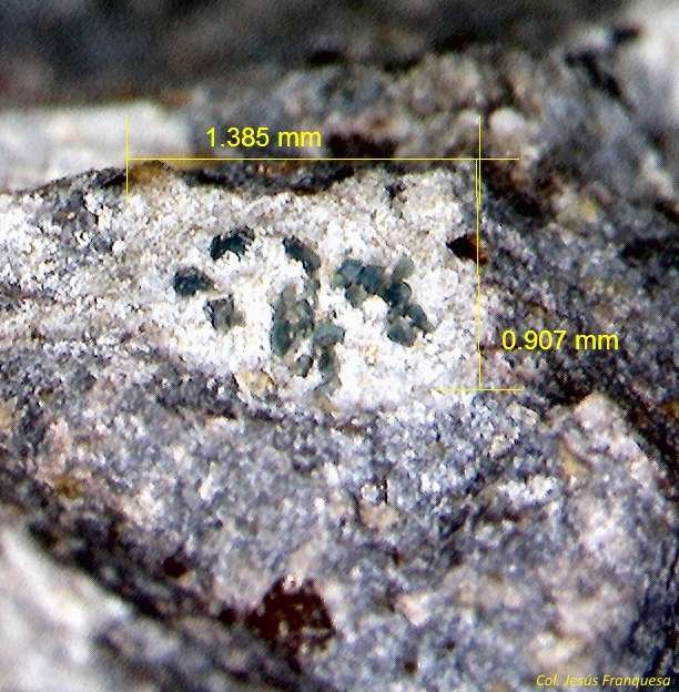 Roedderita.
1´385 x 0´907 mm.
(Autor: Jesus Franquesa Baucells)