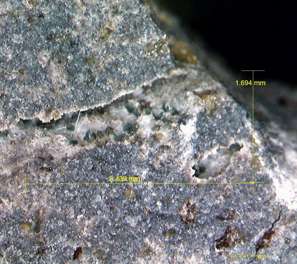 Roedderita.
3´439 x 1´694 mm.
(Autor: Jesus Franquesa Baucells)
