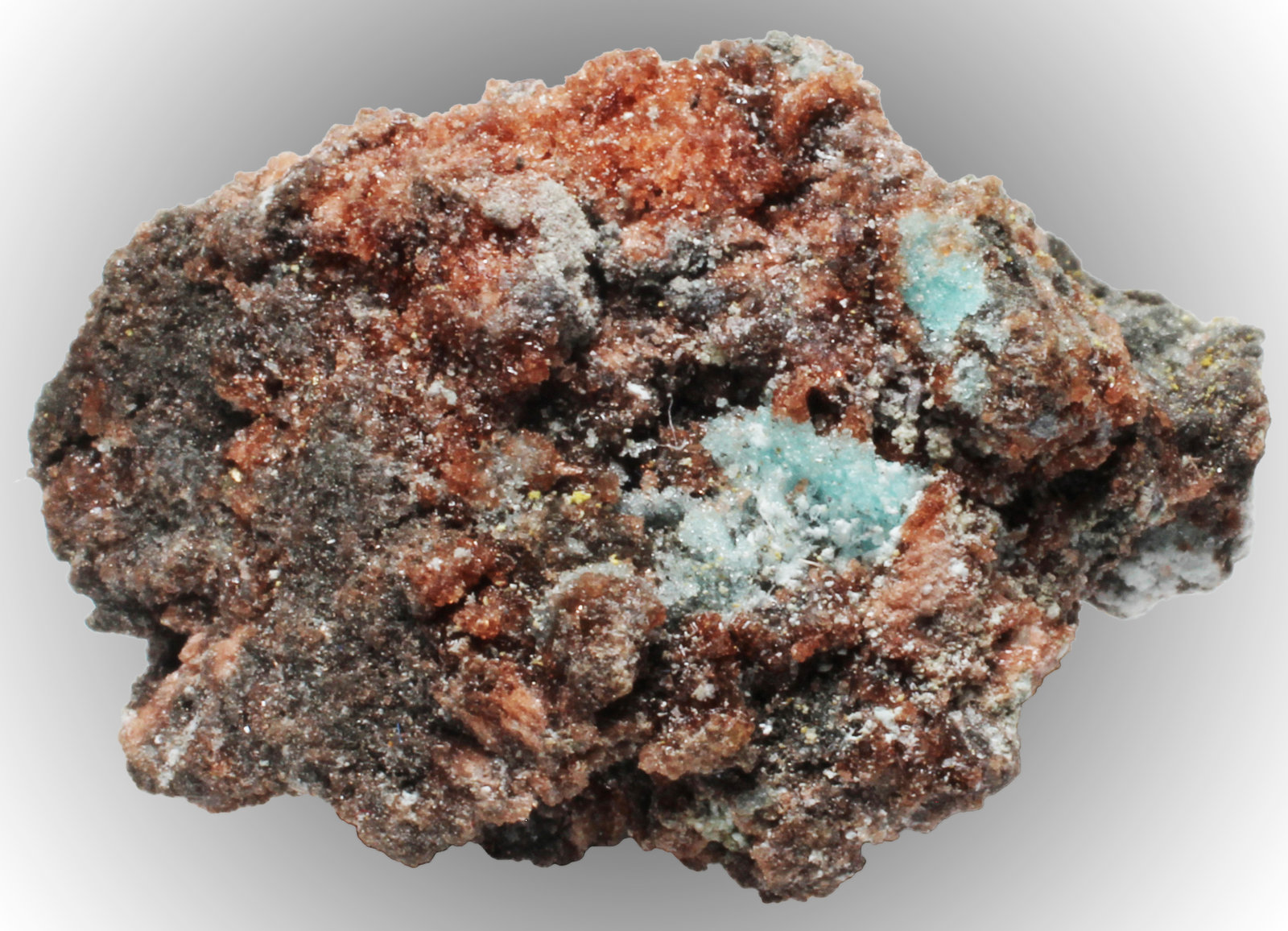 Römerita, Rozenita
28 x 19 x 15 mm
(Autor: José Luis Zamora)
