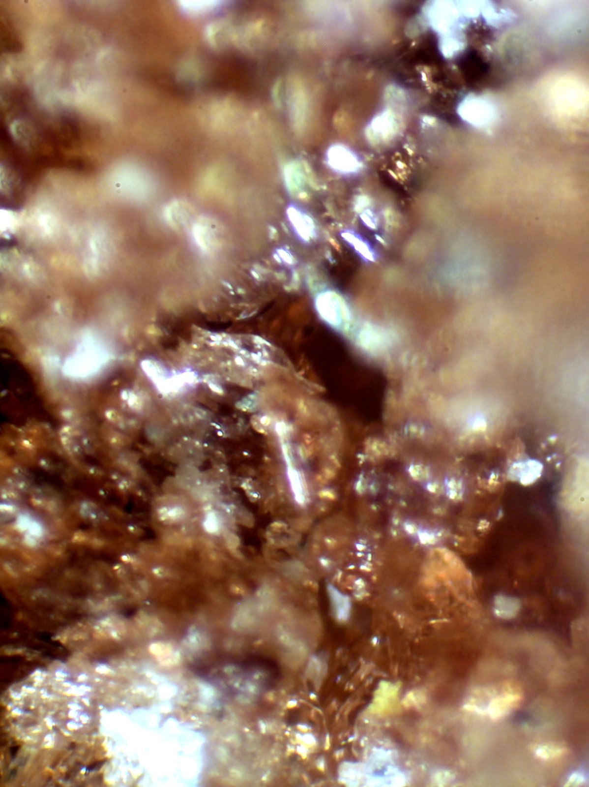 Römerita, Rozenita
< 1 mm
(Autor: José Luis Zamora)