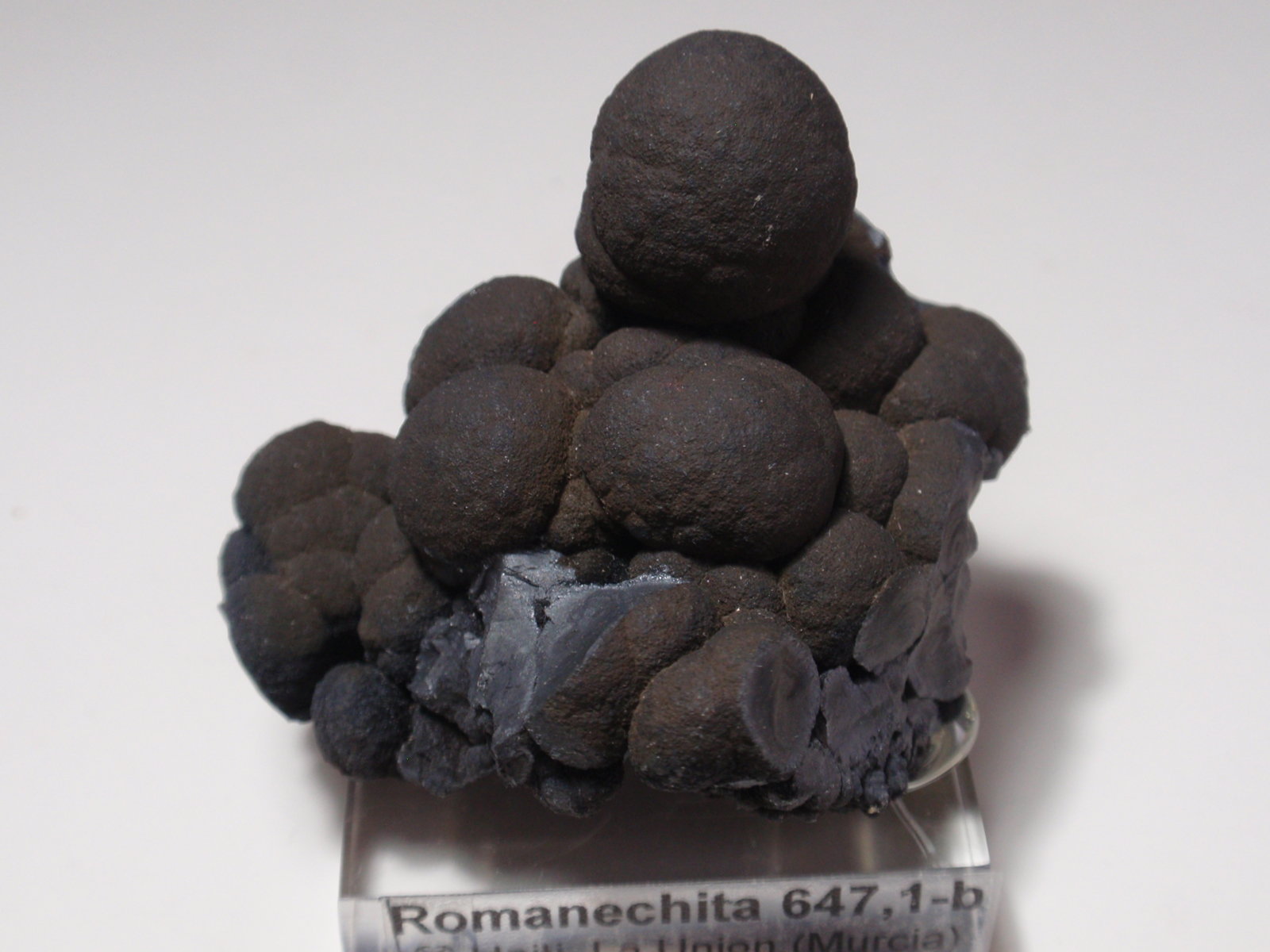 Romanechita
50x45 mm
(Autor: Ignacio)