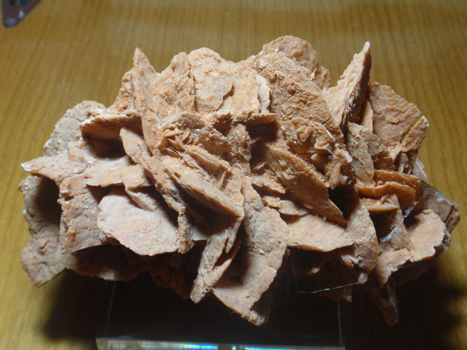 Yeso
170x100 mm
(Autor: Ignacio)