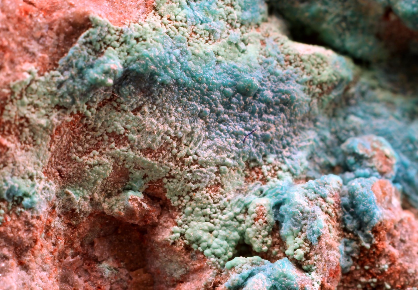 Rosasita, Auricalcita
48 x 38 x 30 mm
(Autor: José Luis Zamora)