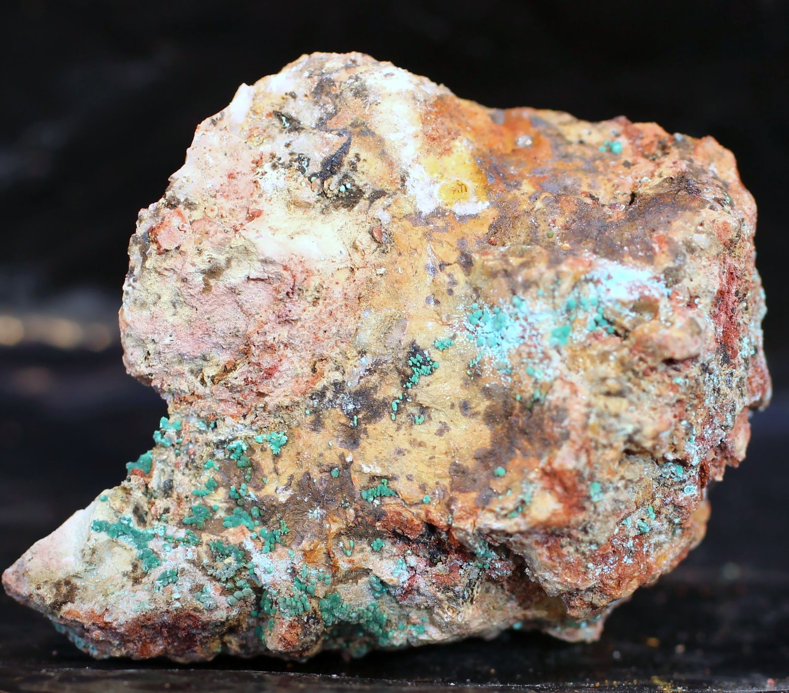 Rosasita, Auricalcita
46 x 37 x 24 mm.
(Autor: José Luis Zamora)