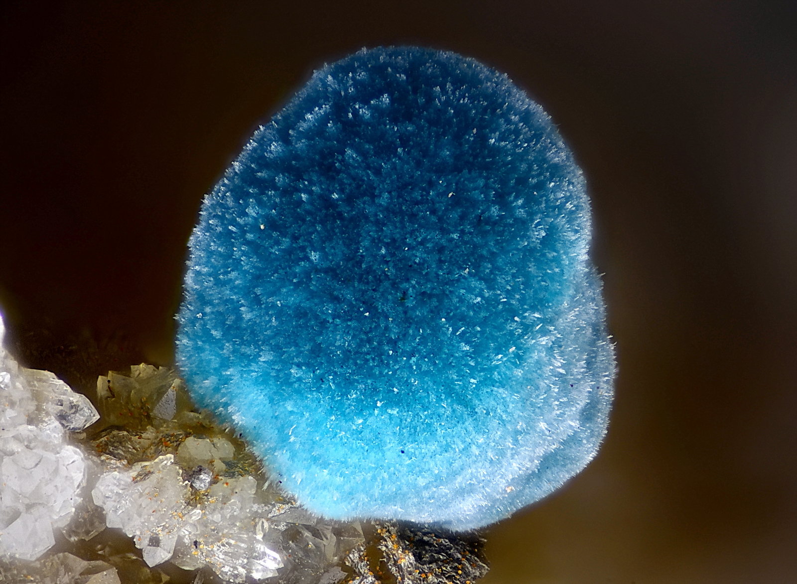 Rosasita
Campo de visión 1,8 mm
(Autor: Juan Miguel)