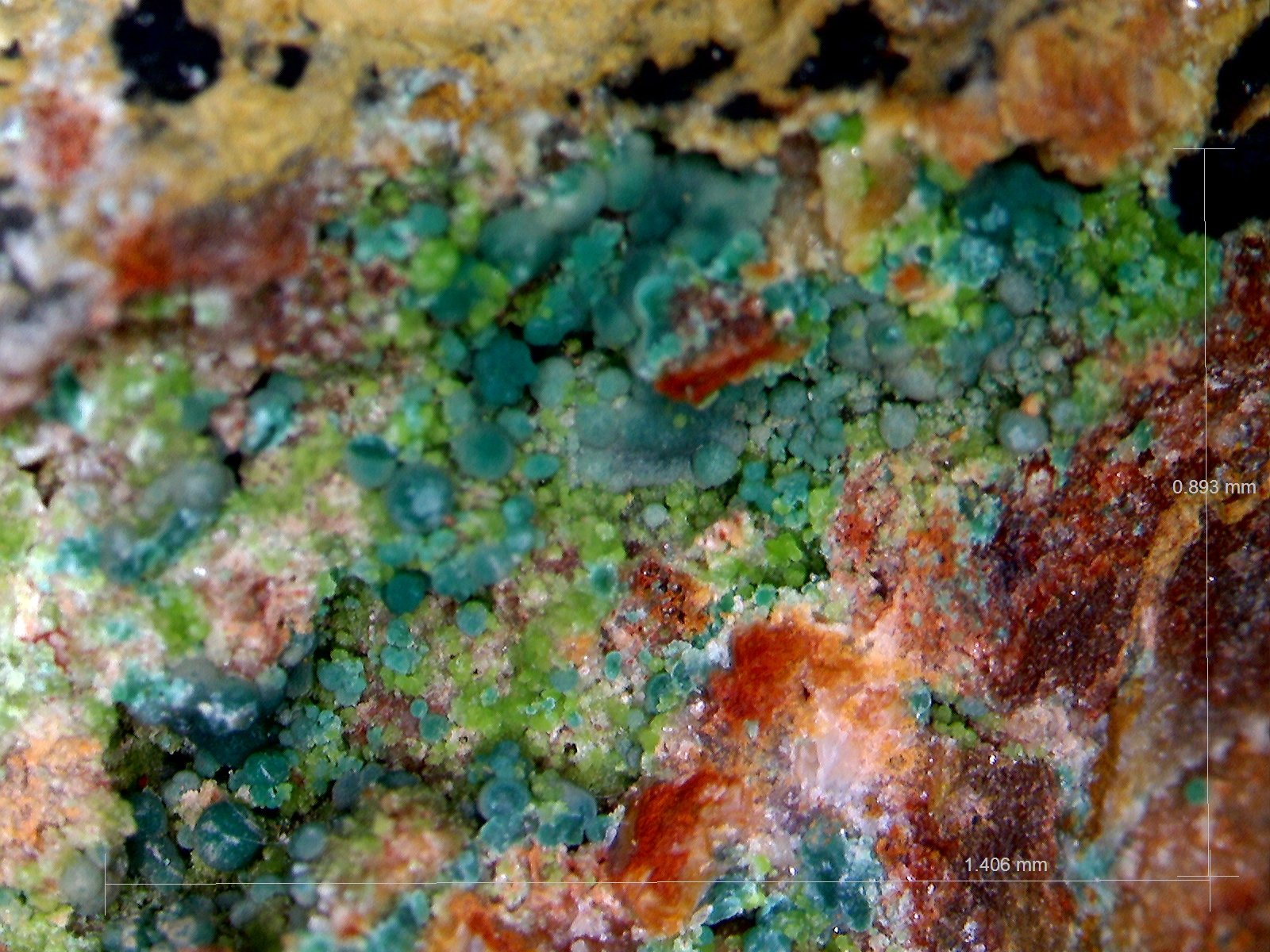 Rosasita y Duftita.
1´406 x 0´893 mm.
(Autor: Jesus Franquesa Baucells)