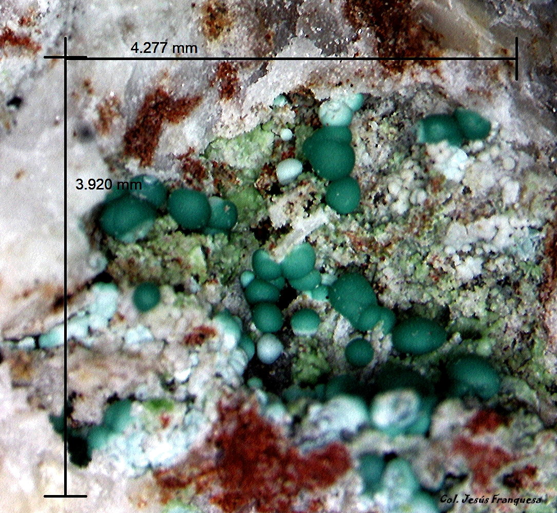 Rosasita.
4´277 x 3´920 mm.
(Autor: Jesus Franquesa Baucells)
