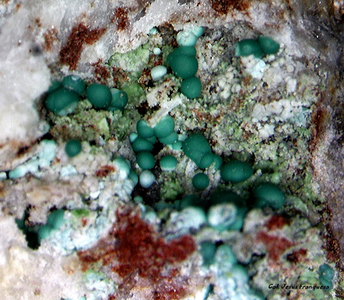 Rosasita.
4´277 x 3´920 mm.
(Autor: Jesus Franquesa Baucells)