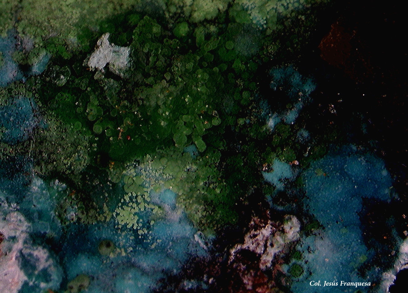 Rosasita y Duftita
5´78x4´16 mm.
(Autor: Jesus Franquesa Baucells)