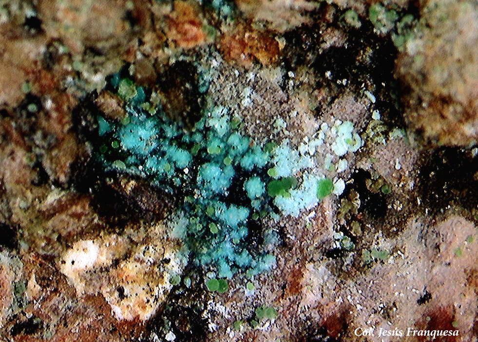 Rosasita y Duftita
3´22x2´55 mm.
(Autor: Jesus Franquesa Baucells)