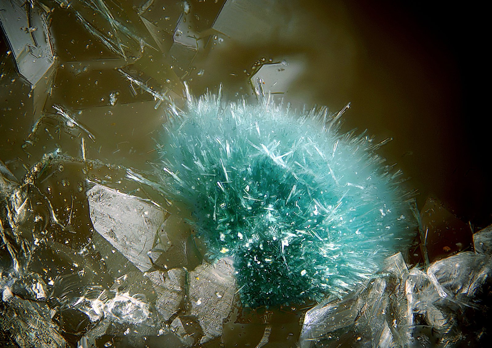 Auricalcita
Campo de visión de 3 mm.
(Autor: Antonio Carmona)
