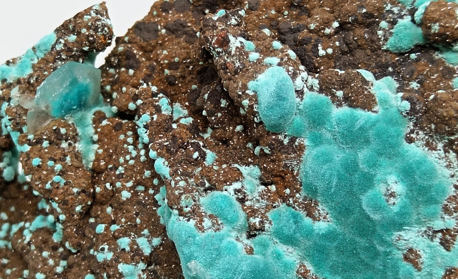 Rosasita
Ojuela Mine, Mapimí, Municipio Mapimí, Durango, Mexico
86x66x18 mm.
(Autor: Luis Edmundo Sánchez Roja)