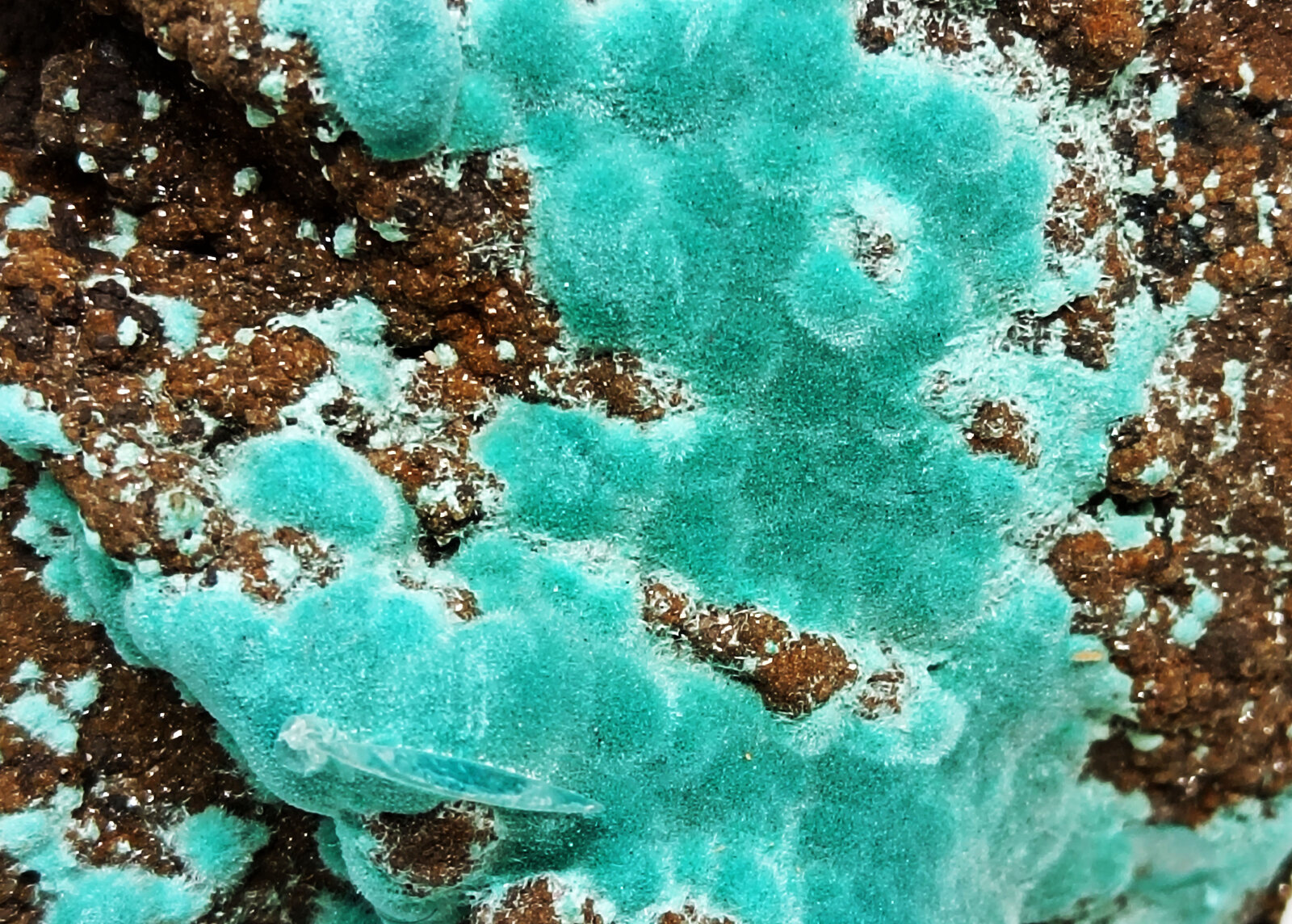 Rosasita
Ojuela Mine, Mapimí, Municipio Mapimí, Durango, Mexico
86x66x18 mm.
(Autor: Luis Edmundo Sánchez Roja)