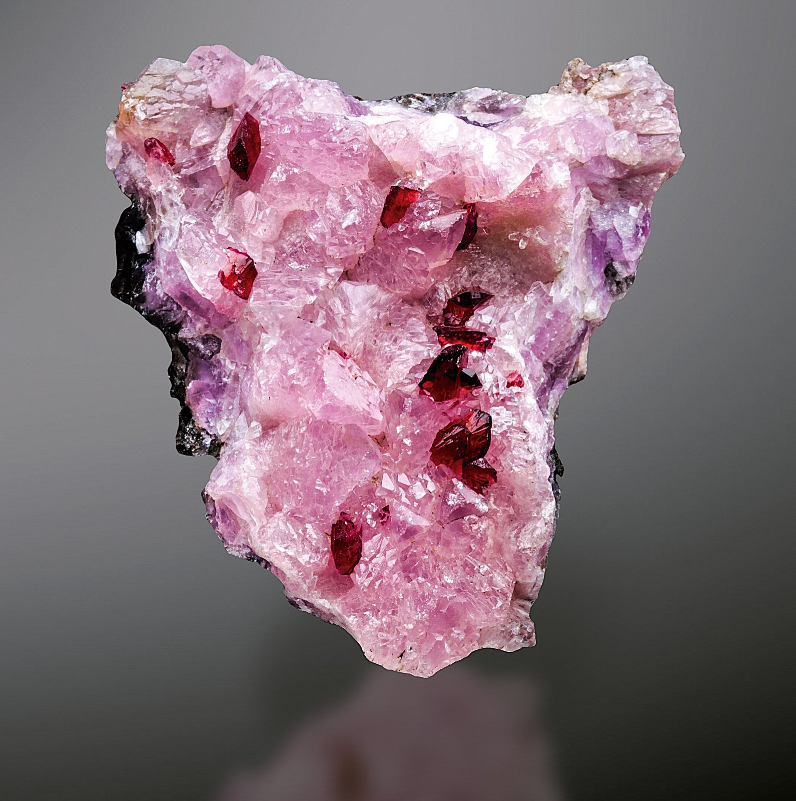 Roselita
35 x 25 mm
(Autor: Borja Sainz de Baranda)