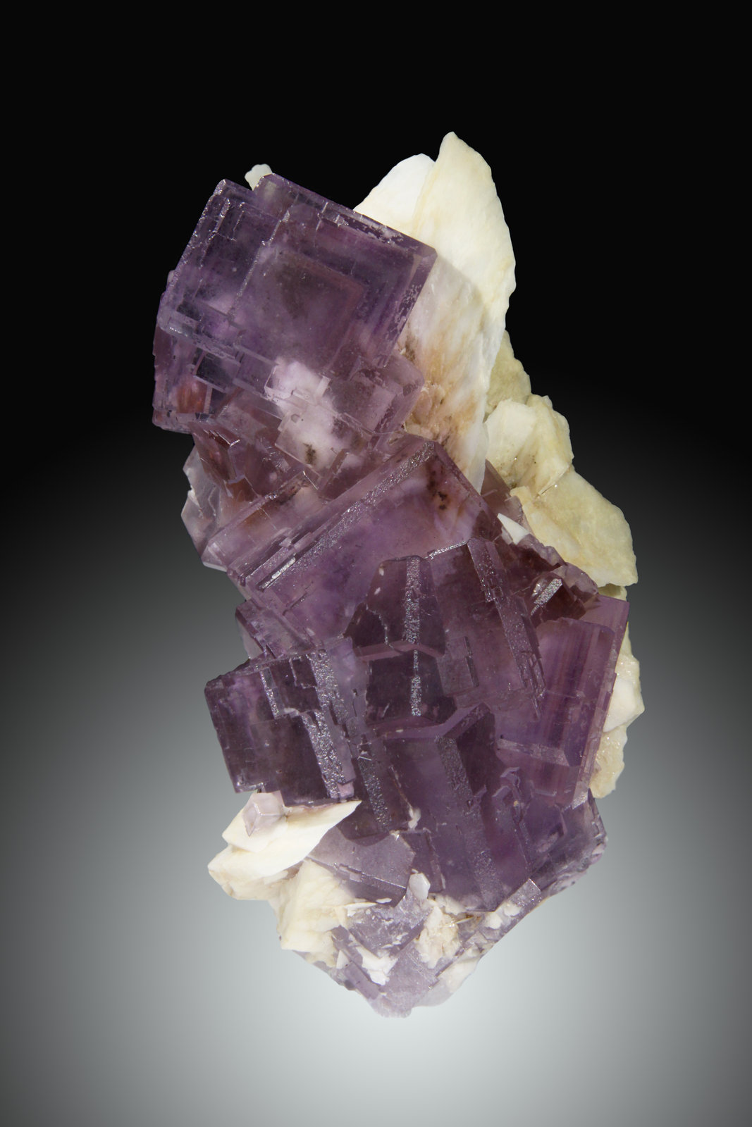 Fluorita
13 x 6cm, cristales de hasta 3.5cm de arista
(Autor: Raul Vancouver)