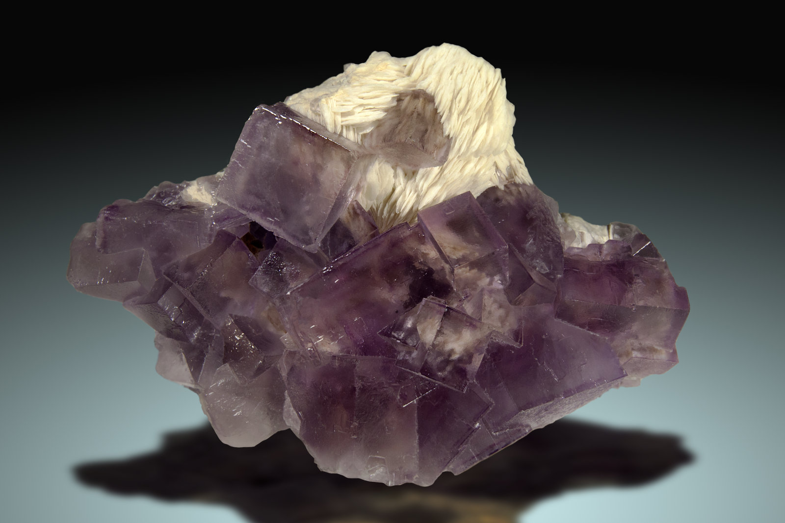 Fluorita
16x11cm, cristales hasta 4cm de arista
(Autor: Raul Vancouver)