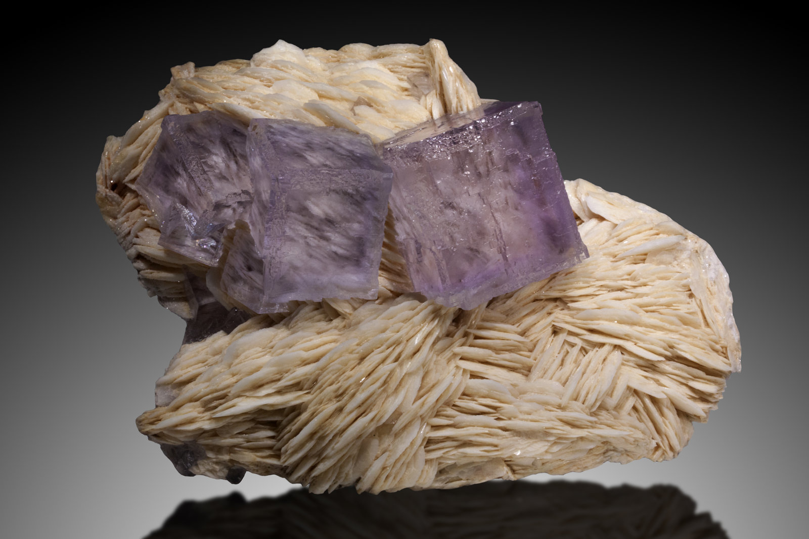 Fluorita, Barita
15cm, cristales hasta 4cm
(Autor: Raul Vancouver)