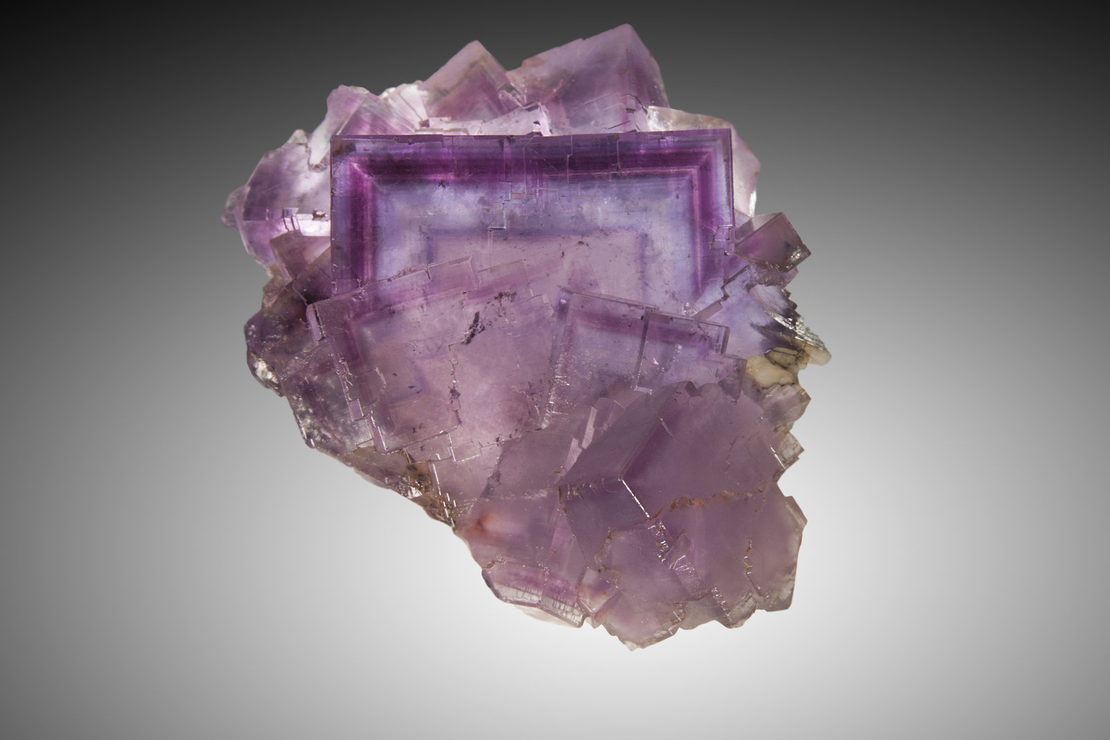 Fluorita
11 x 9 cm, arista 6cm
(Autor: Raul Vancouver)