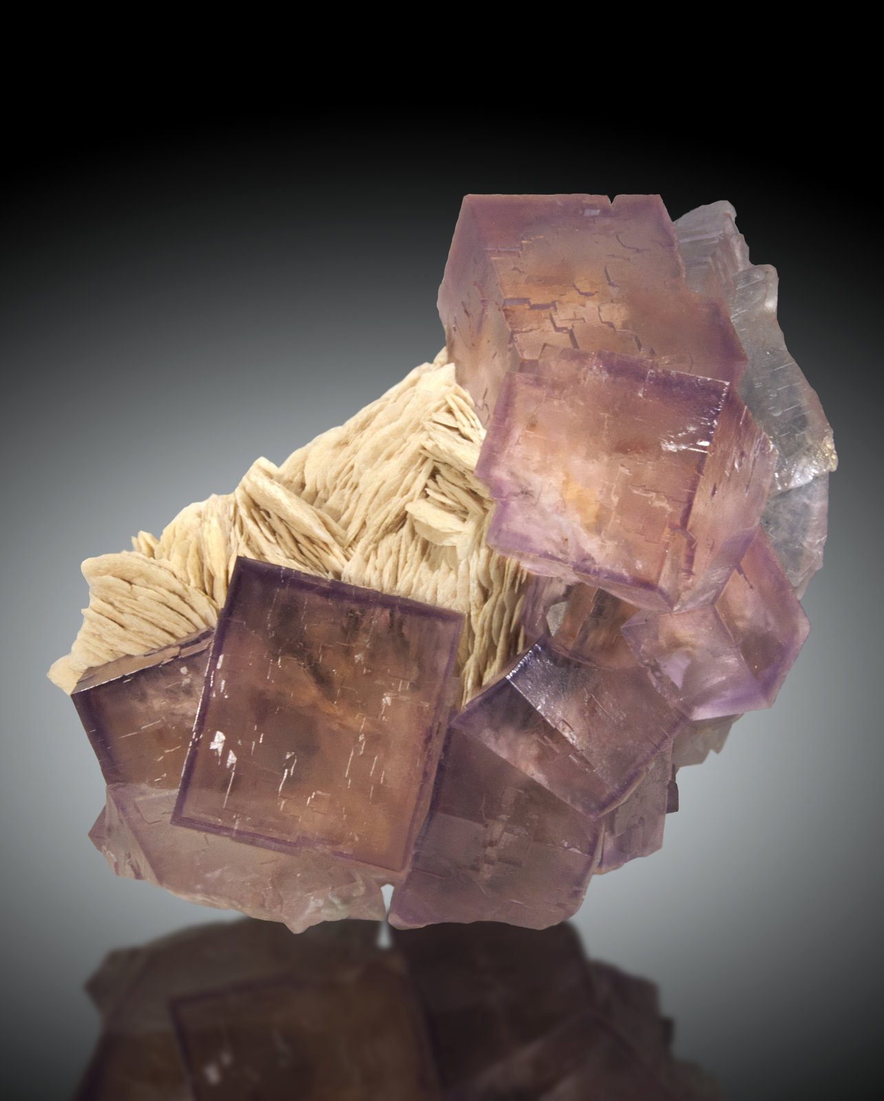 Fluorita, Barita
13x9cm, cristales hasta 4cm de arista
(Autor: Raul Vancouver)