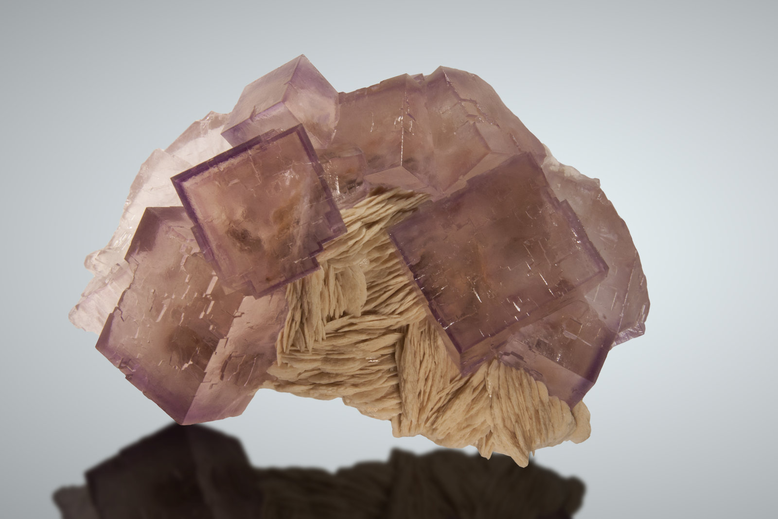 Fluorita, Barita
13x9 cm, cristales de hasta 4 cm
(Autor: Raul Vancouver)