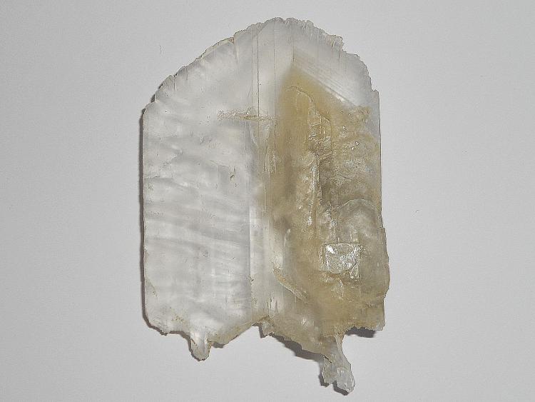 Yeso
6 x 3.8 cm
(Autor: juan manuel del valle)