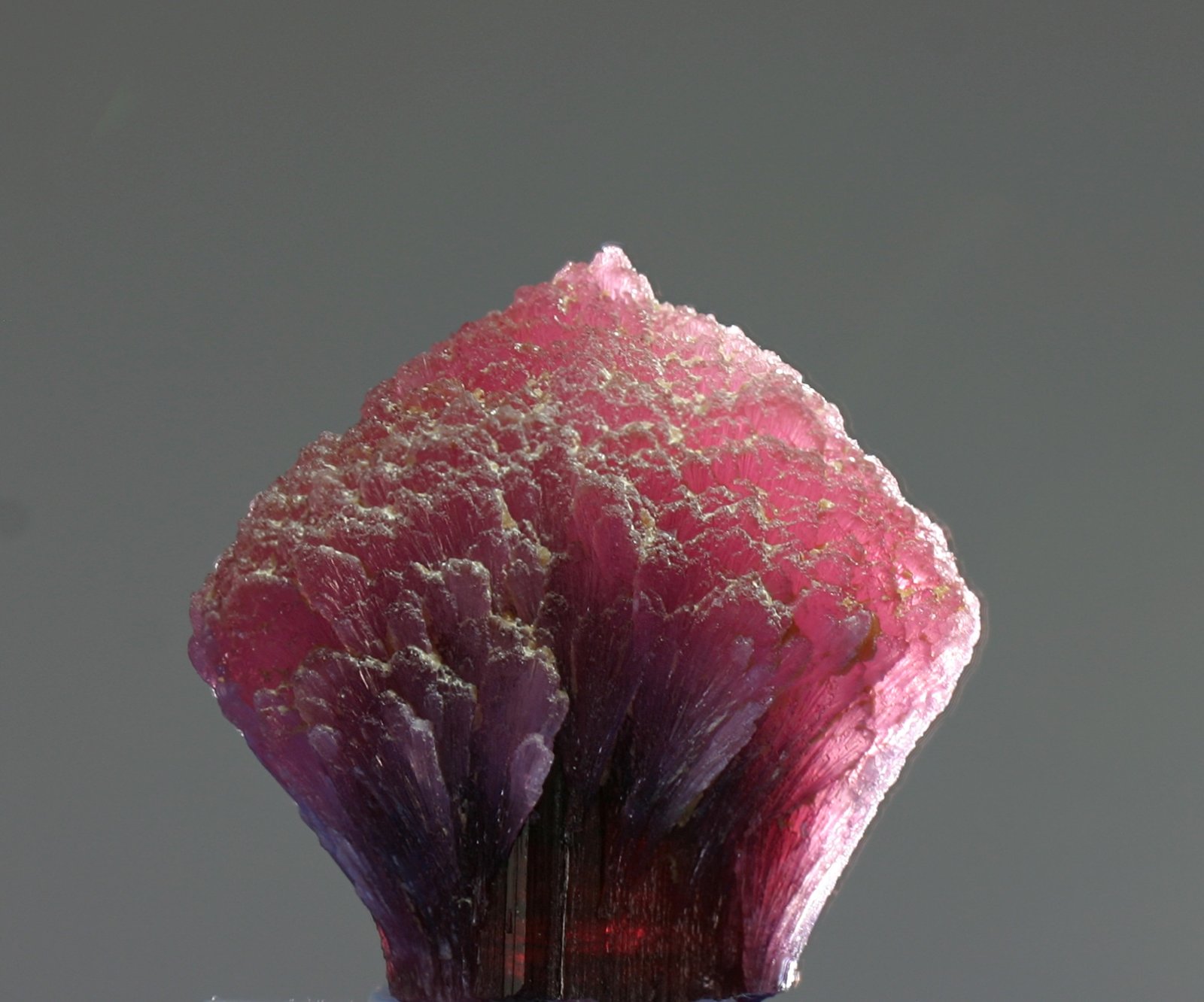 Elbaíta (variedad rubelita)
cristal 30x30 mm
(Autor: Ramon A  Lopez Garcia)