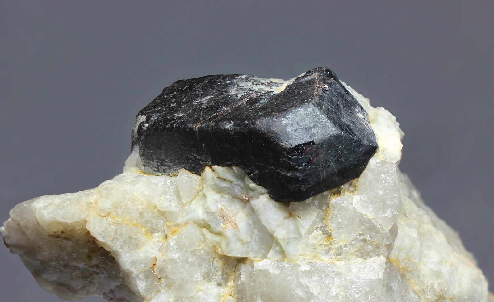 Rutilo (variedad rutilo niobífero)
cristal 30 mm.
(Autor: Ramon A  Lopez Garcia)
