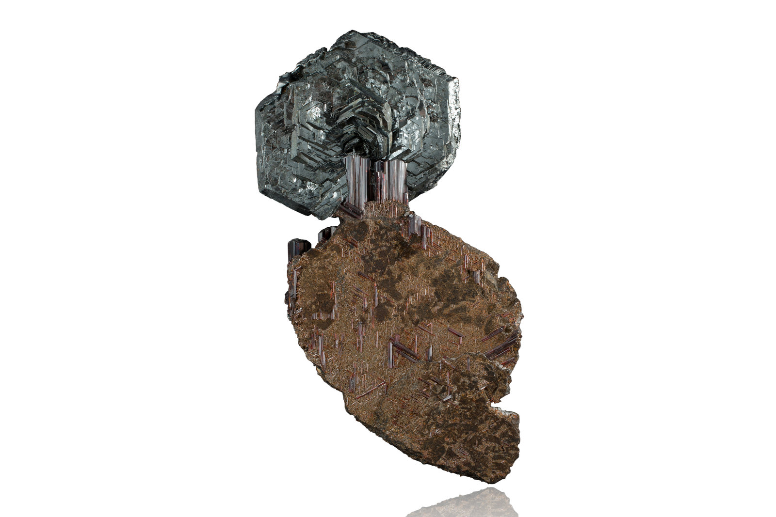 Rutilo con Hematites
8 x 3.5 x 13.5 cm / Cristal principal: 4.5 cm.
(Autor: Museo MIM)