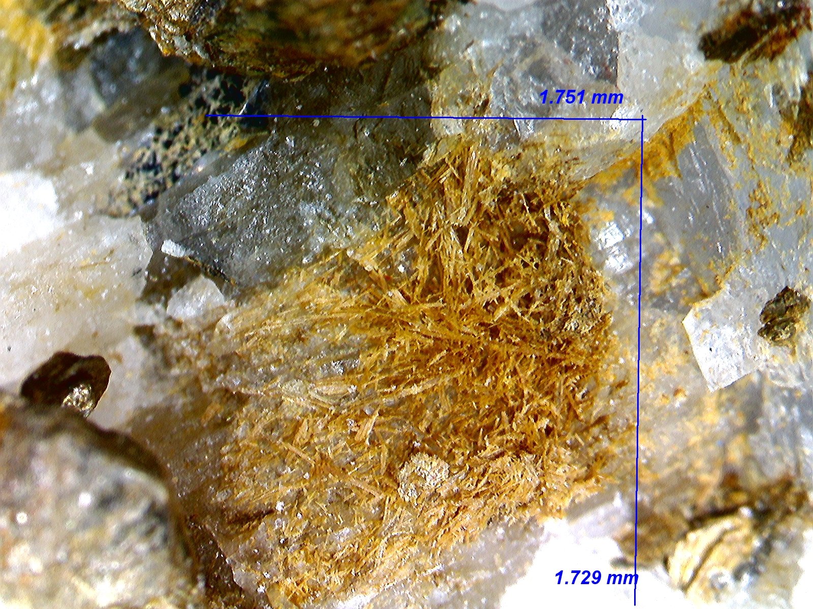 Rutilo (variedad sagenita)
1´751 mm x 1´729
(Autor: Jesus Franquesa Baucells)