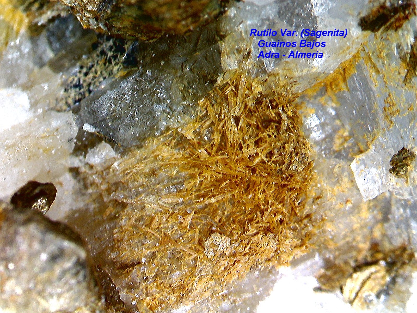Rutilo (variedad sagenita)
1´751 mm x 1´729
(Autor: Jesus Franquesa Baucells)