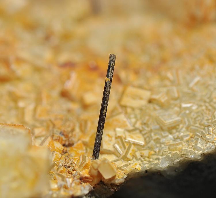 Rutilo
Tamaño: cristal de 10 mm
(Autor: Juan Miguel)