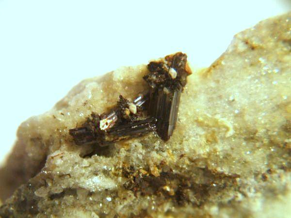 (Autor: Nieves)