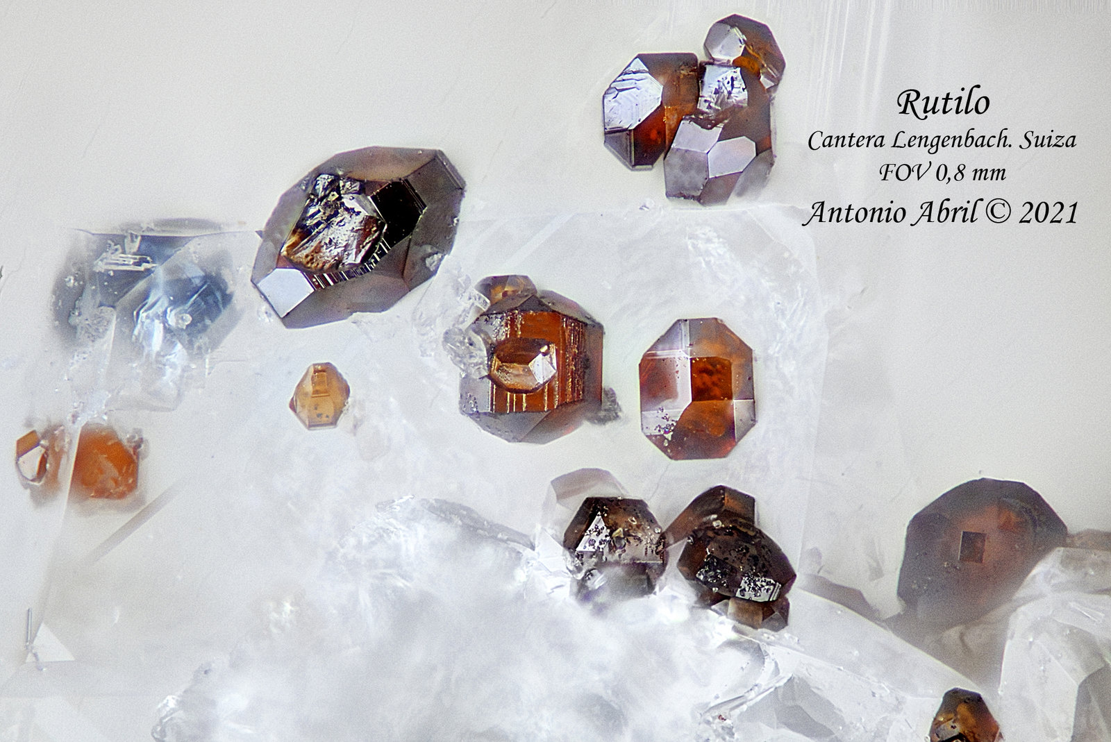 Rutilo
0.8 mm
(Autor: Antonio Abril)