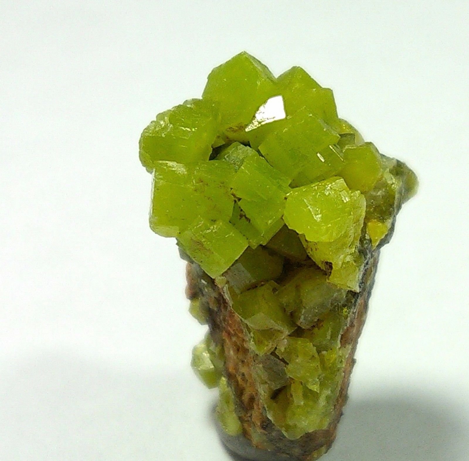 Piromorfita
18x18x10mm
(Autor: Carlos G. Bargueño)