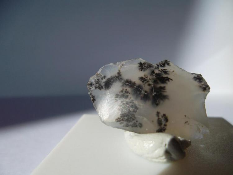 Cuarzo (variedad agata)
2 x 2 cm.
(Autor: javier ruiz martin)