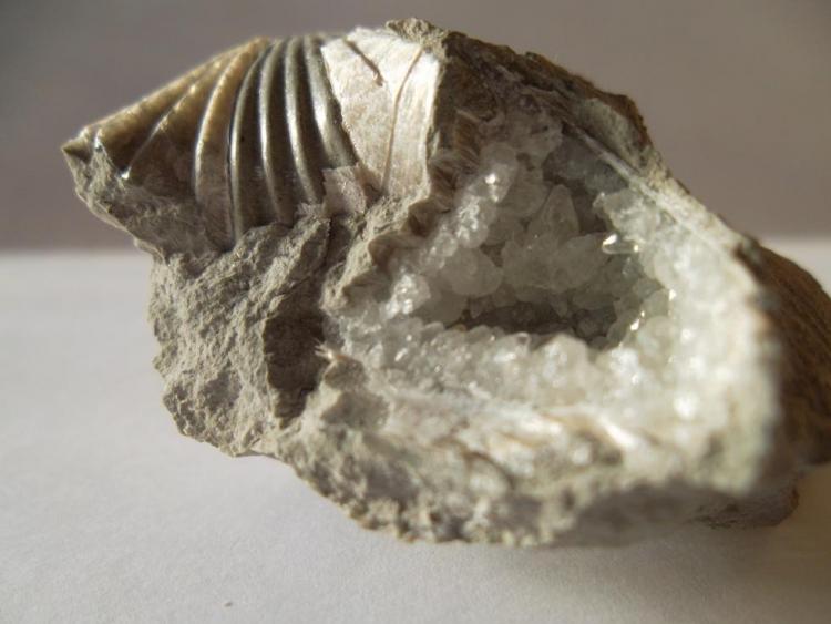 Calcita
3 x 3 cm.
(Autor: javier ruiz martin)