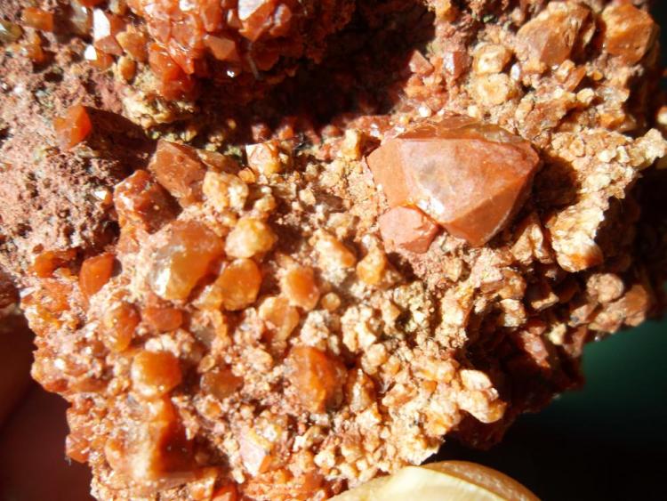 Cuarzo (variedad jacinto de Compostela)
2 cm. el jacinto
(Autor: javier ruiz martin)