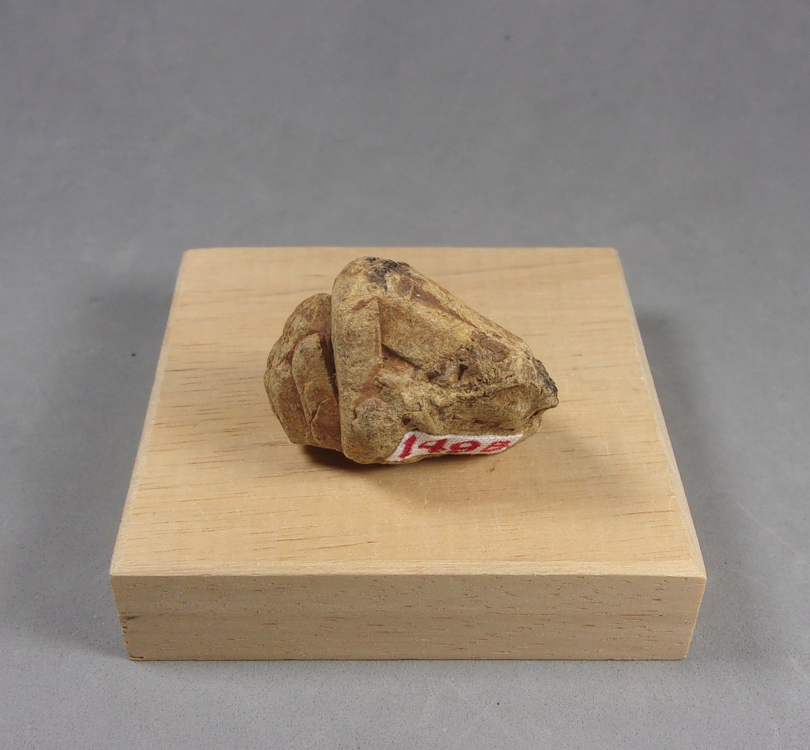 Samarskita-(Y)
3,4 x 2,5 x 1,7 cm.  25,59 g.
(Autor: J. G. Alcolea)