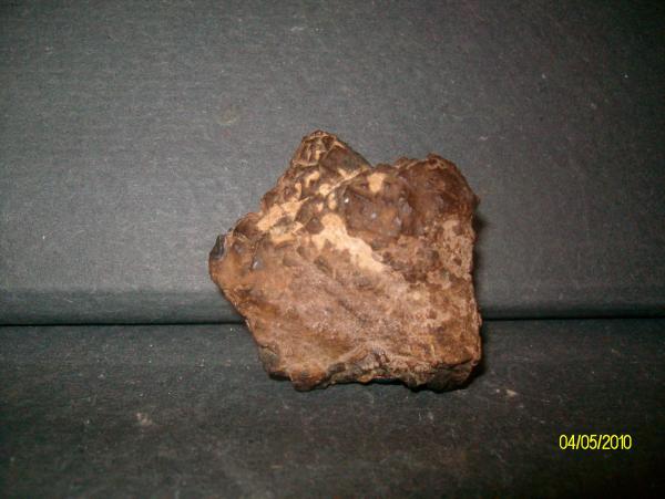 Hematites pseudom<br />Tarragona, Tarrag