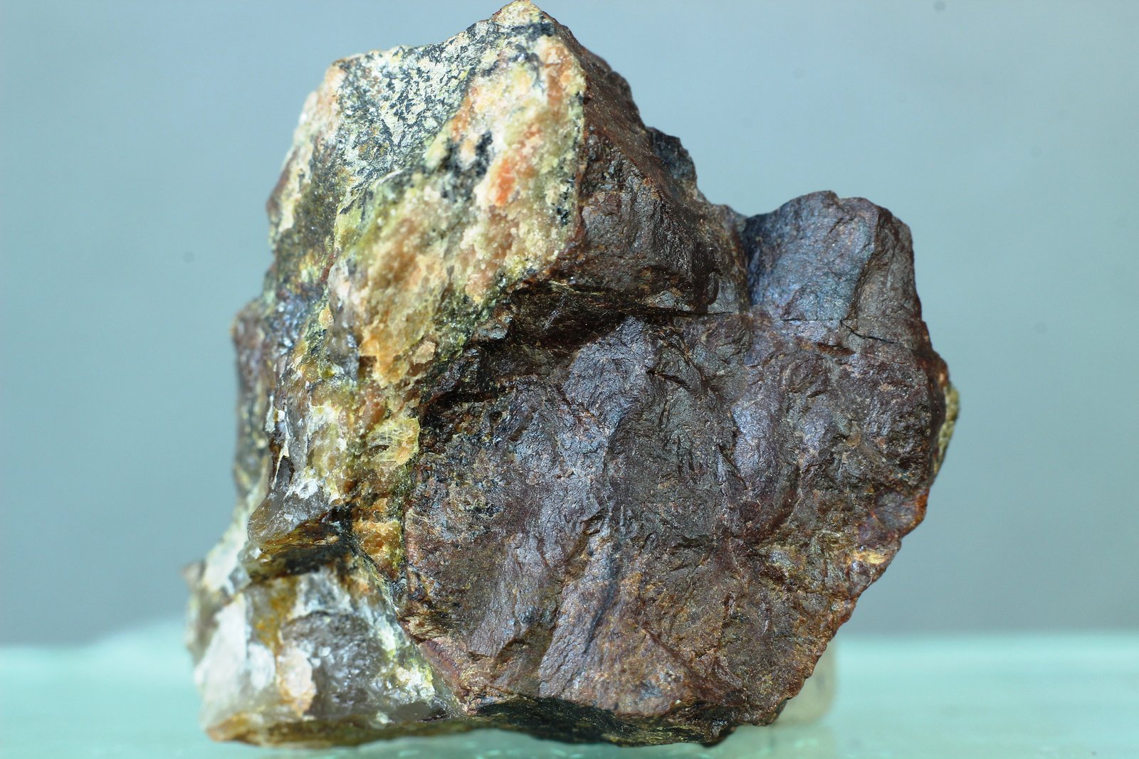 Sarcópsido
46x20 mm
(Autor: Juan Espino)