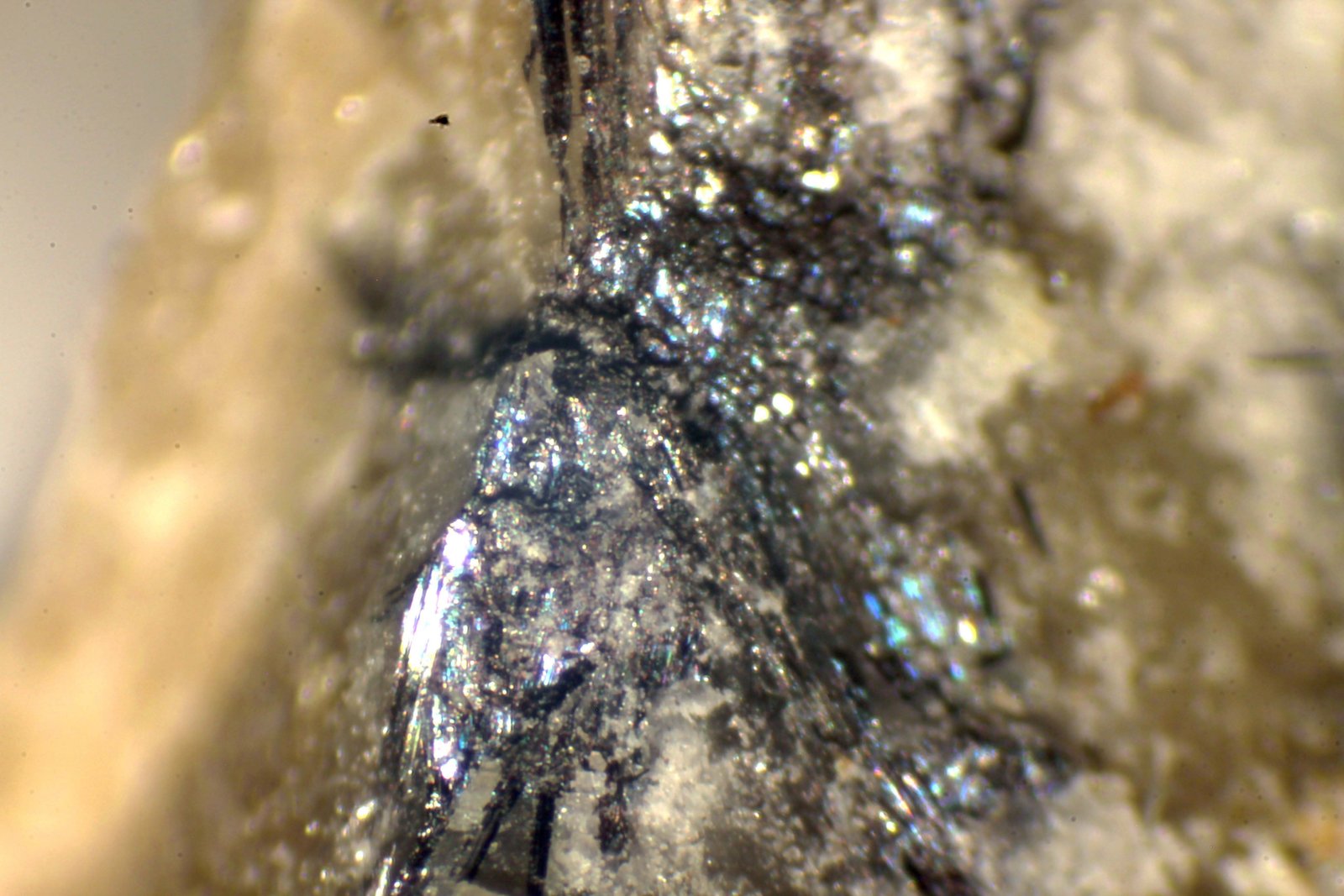 Scainiíta
< 1 mm
(Autor: José Luis Zamora)