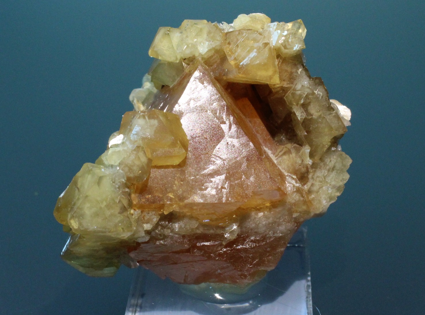 Scheelita
5 x 4 x 4 cm.
(Autor: Carles Rubio)