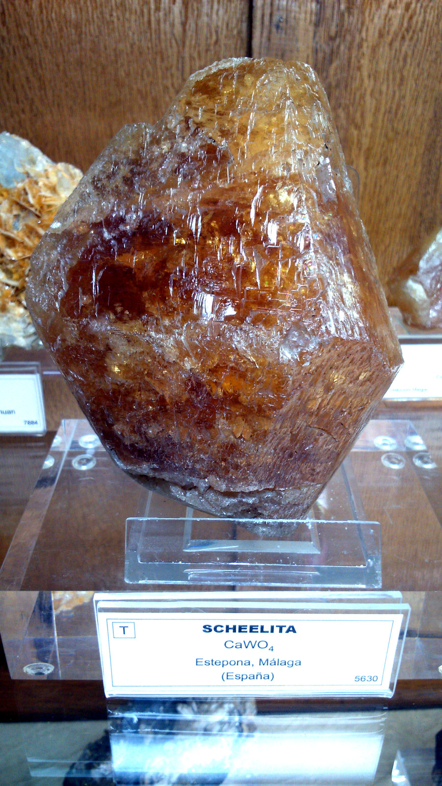 Scheelita
11 x 8 x 7 cm.
(Autor: Ramón Jiménez)