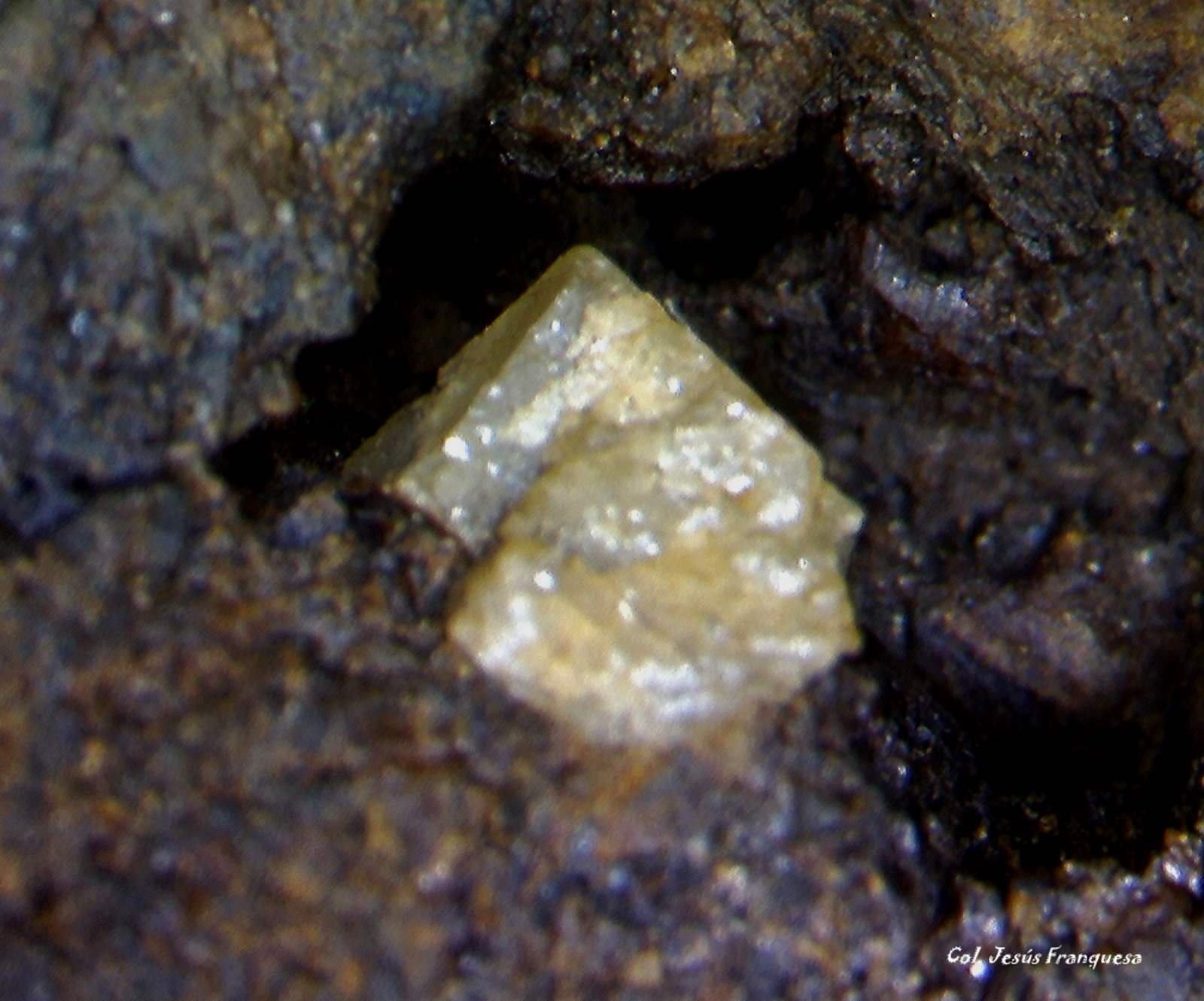 Scheelita.
1´122 x 1´081 mm.
(Autor: Jesus Franquesa Baucells)