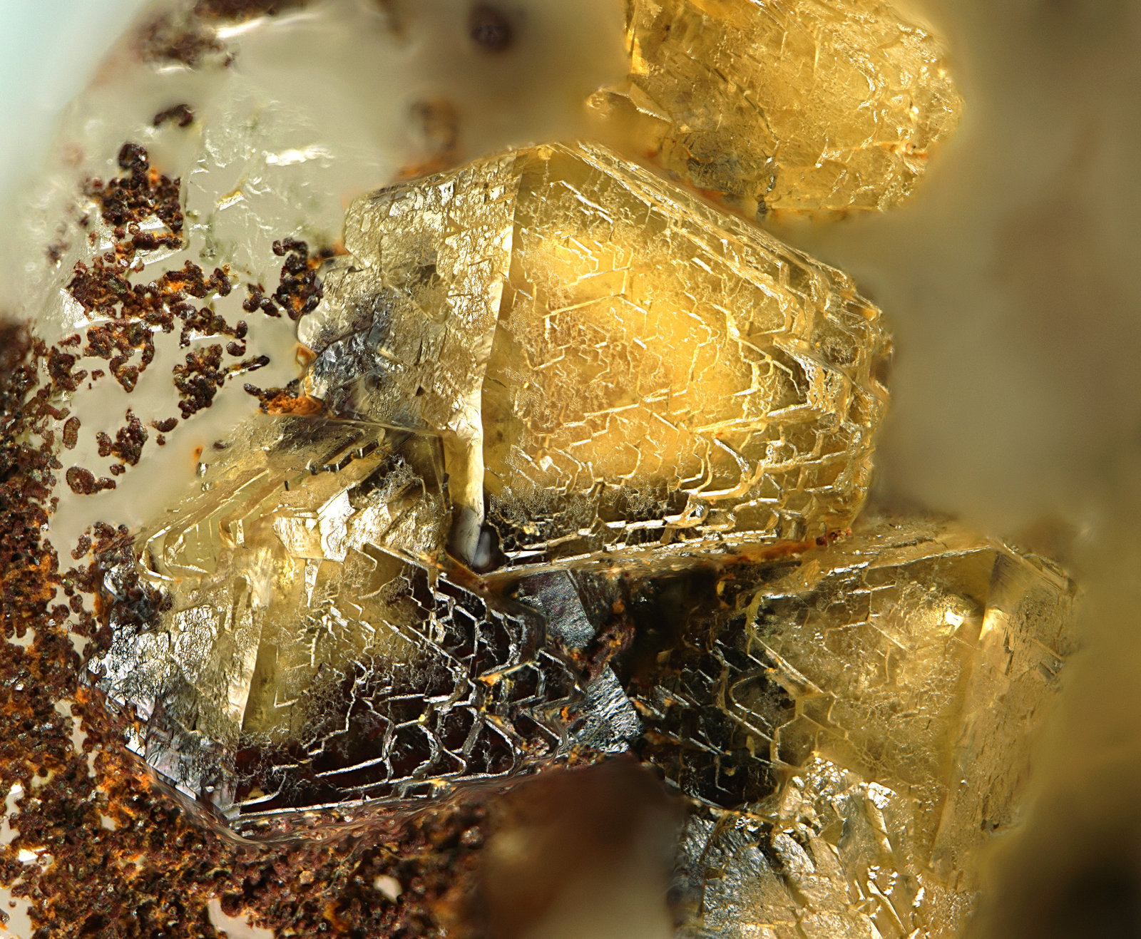 Scheelita
fov 4 mm
(Autor: Antonio P. López)