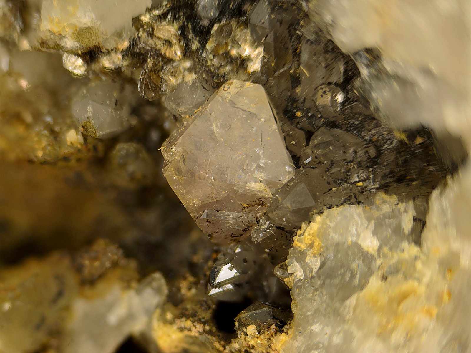 Scheelita
Cristal de 1 cm.
(Autor: Antonio Carmona)