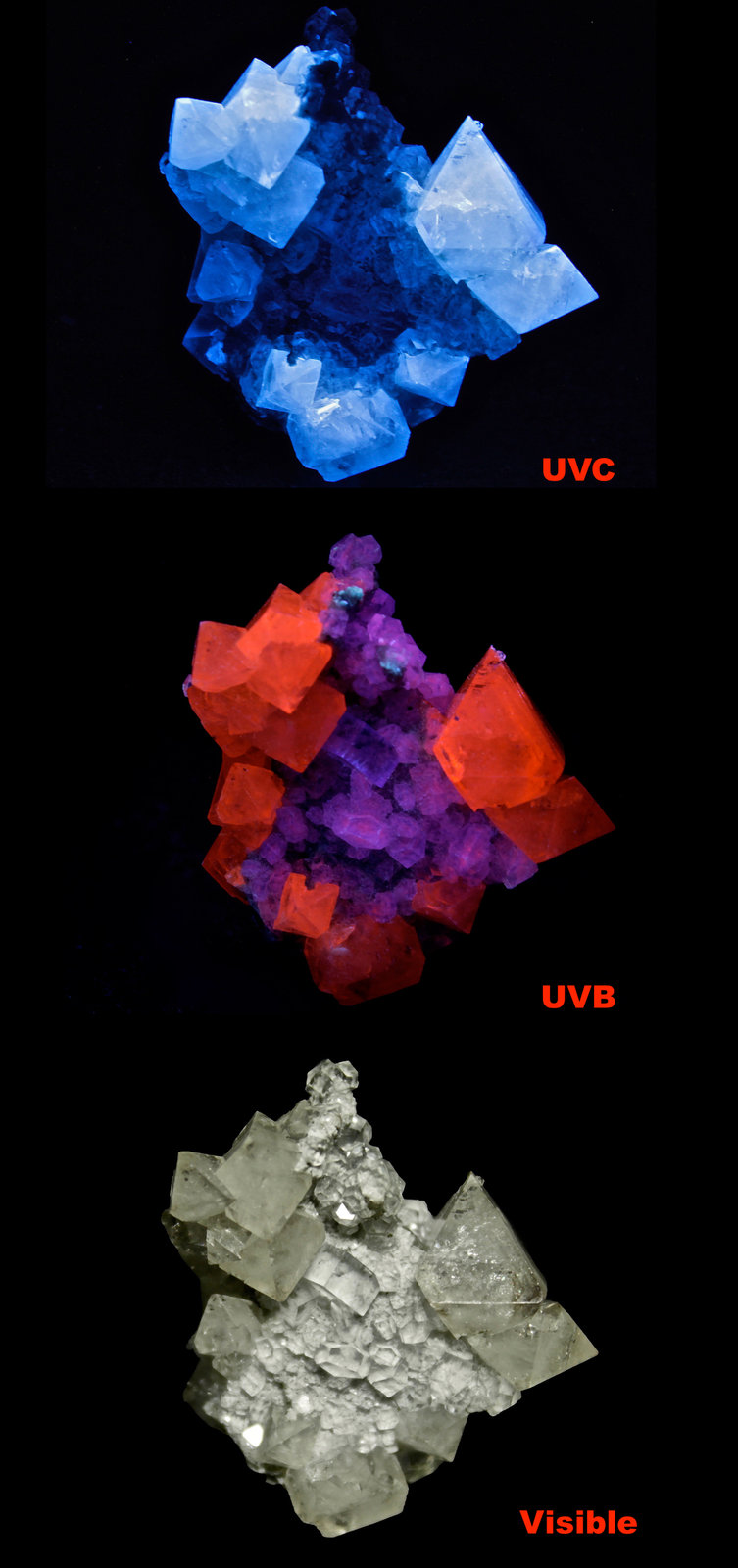 Scheelita, Calcita, Fluorita.
28x27x14mm
(Autor: UVmineral)